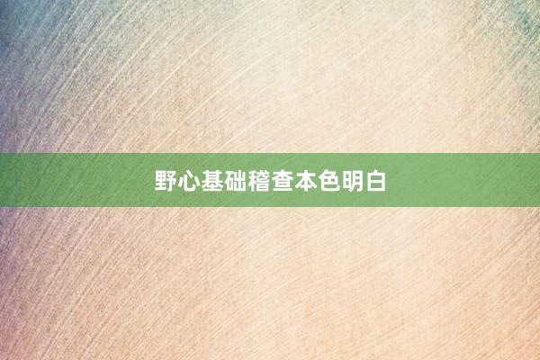 野心基础稽查本色明白