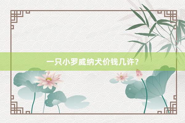 一只小罗威纳犬价钱几许?