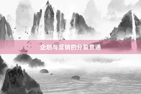 企划与营销的分裂贯通